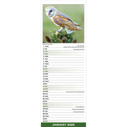 Avonside Uilen Kalender 2026 Slimline
