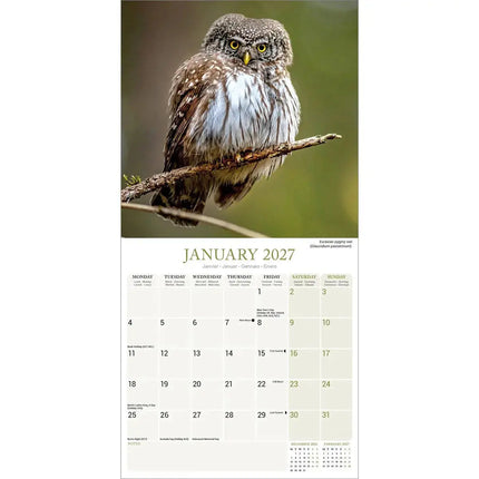 Avonside Uilen Kalender 2027