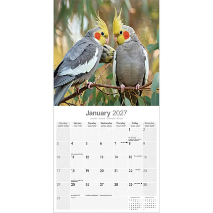 Avonside Valkparkieten Kalender 2027
