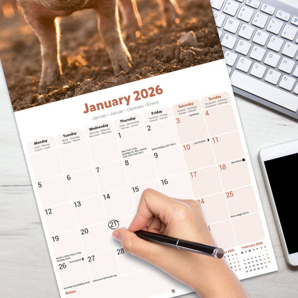 Avonside Varken Kalender 2026