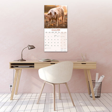 Avonside Varken Kalender 2026