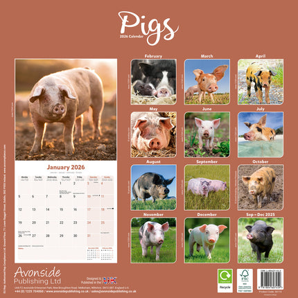 Avonside Varken Kalender 2026
