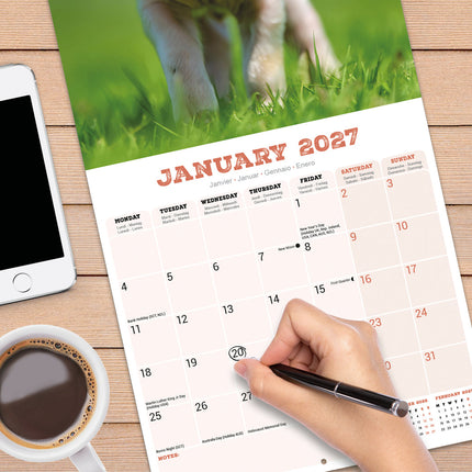 Avonside Varken Kalender 2027