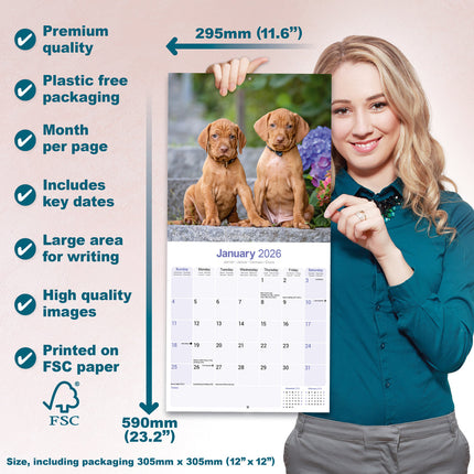 Avonside Vizsla Kalender 2026