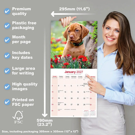 Avonside Vizsla Kalender 2027