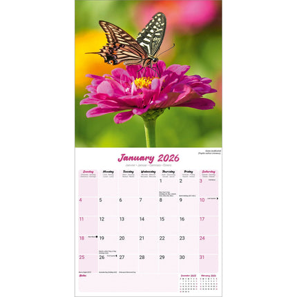 Avonside Vlinder Kalender 2026