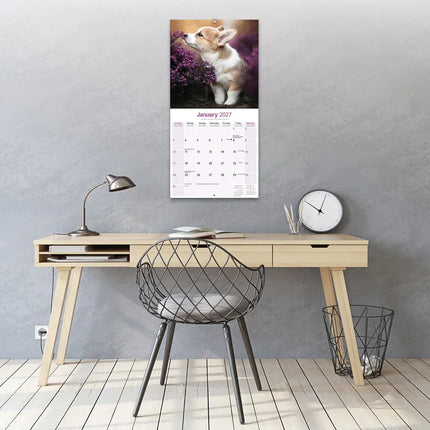 Avonside Welsh Corgi Kalender 2027