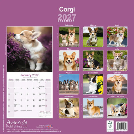Avonside Welsh Corgi Kalender 2027