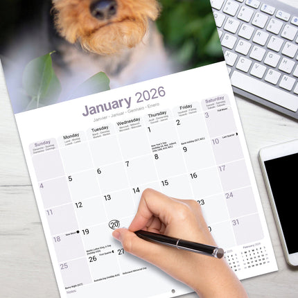 Avonside Welsh Terrier Kalender 2026