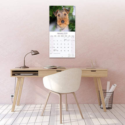 Avonside Welsh Terrier Kalender 2026