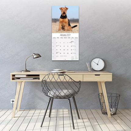 Avonside Welsh Terrier Kalender 2027