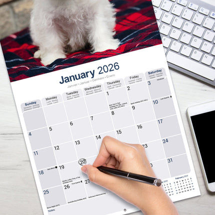 Avonside West Highland White Terrier Kalender 2026
