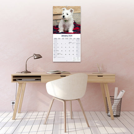 Avonside West Highland White Terrier Kalender 2026