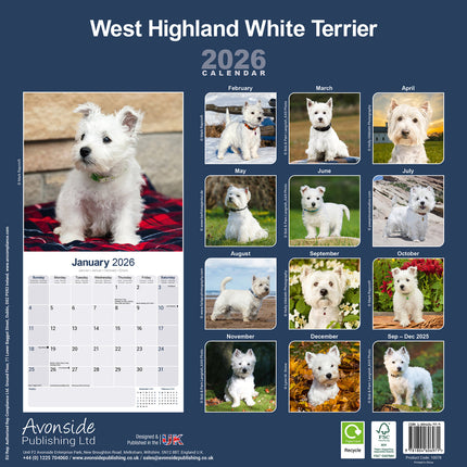 Avonside West Highland White Terrier Kalender 2026