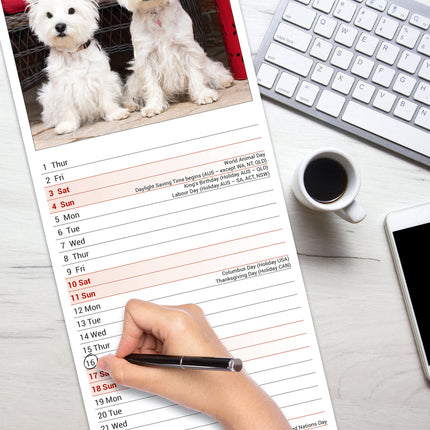 Avonside West Highland White Terrier Kalender 2026 Slimline