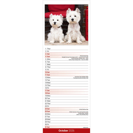 Avonside West Highland White Terrier Kalender 2026 Slimline