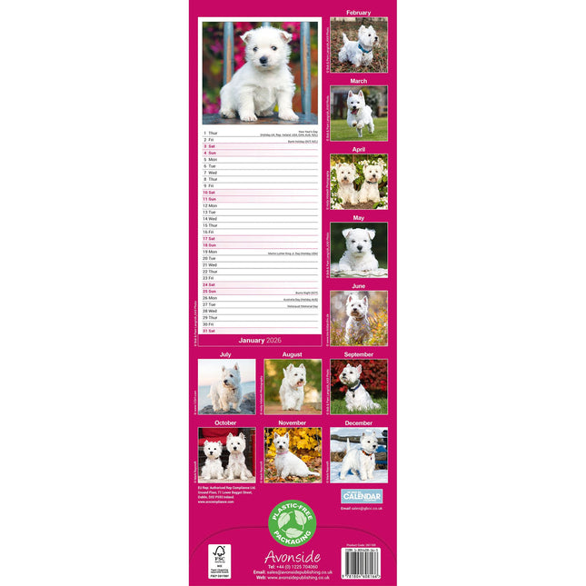 Avonside West Highland White Terrier Kalender 2026 Slimline