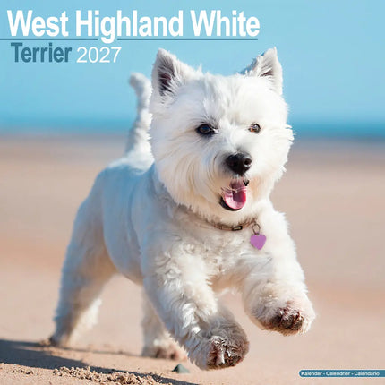 Avonside West Highland White Terrier Kalender 2027