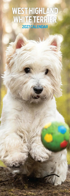 Avonside West Highland White Terrier Kalender 2027 Slimline