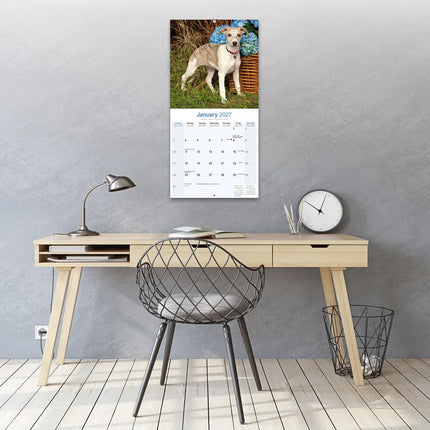 Avonside Whippet Kalender 2027