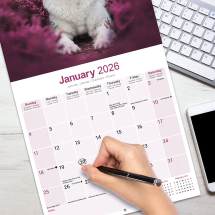 Avonside Witte Herder Kalender 2026