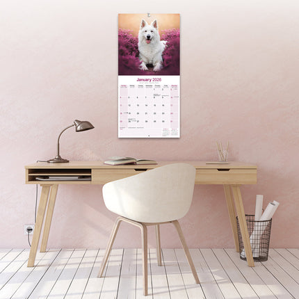 Avonside Witte Herder Kalender 2026