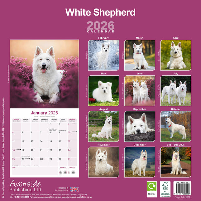 Avonside Witte Herder Kalender 2026