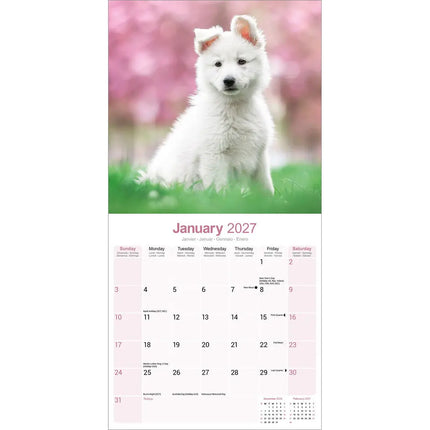 Avonside Witte Herder Kalender 2027