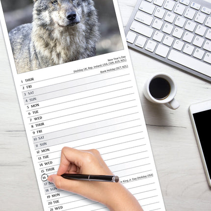 Avonside Wolven Kalender 2026 Slimline