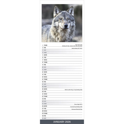 Avonside Wolven Kalender 2026 Slimline