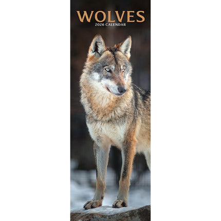Avonside Wolven Kalender 2026 Slimline