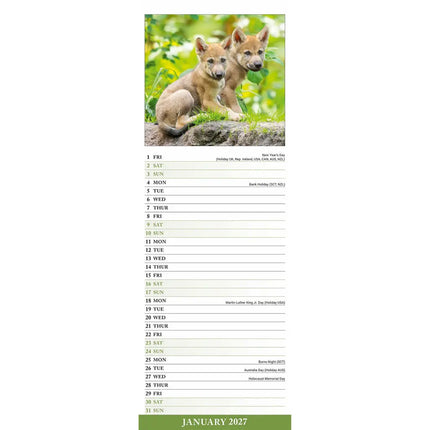 Avonside Wolven Kalender 2027 Slimline