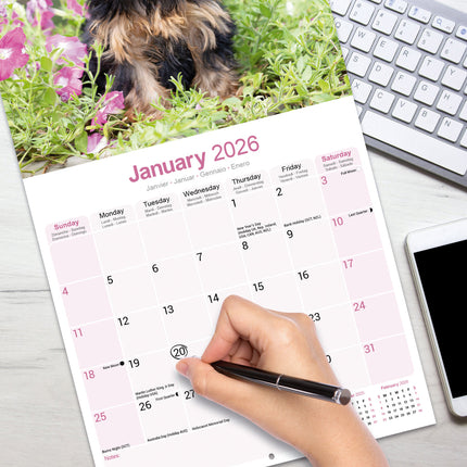 Avonside Yorkshire Terrier Kalender 2026