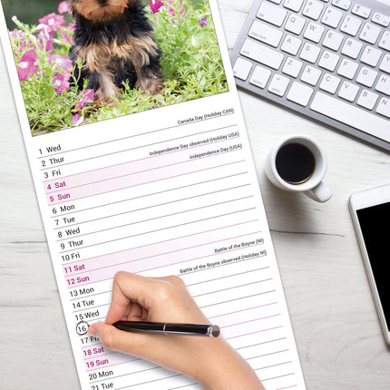 Avonside Yorkshire Terrier Kalender 2026 Slimline