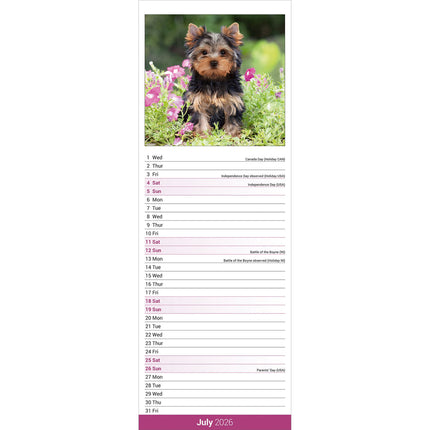 Avonside Yorkshire Terrier Kalender 2026 Slimline