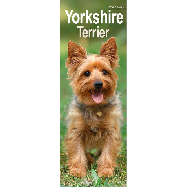 Avonside Yorkshire Terrier Kalender 2026 Slimline
