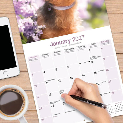 Avonside Yorkshire Terrier Kalender 2027