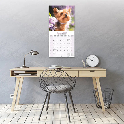 Avonside Yorkshire Terrier Kalender 2027