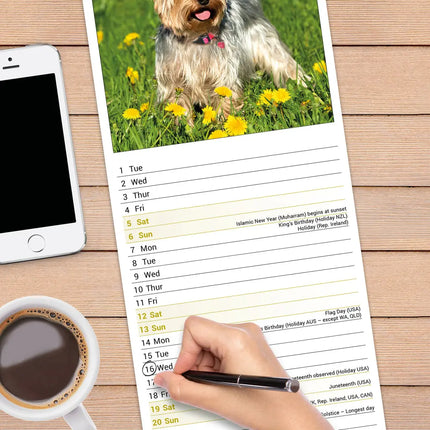 Avonside Yorkshire Terrier Kalender 2027 Slimline