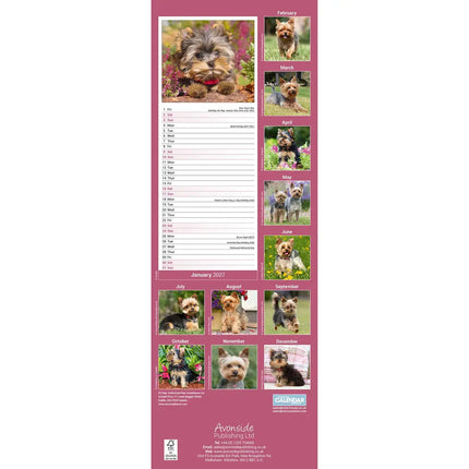 Avonside Yorkshire Terrier Kalender 2027 Slimline