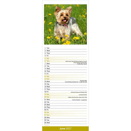 Avonside Yorkshire Terrier Kalender 2027 Slimline