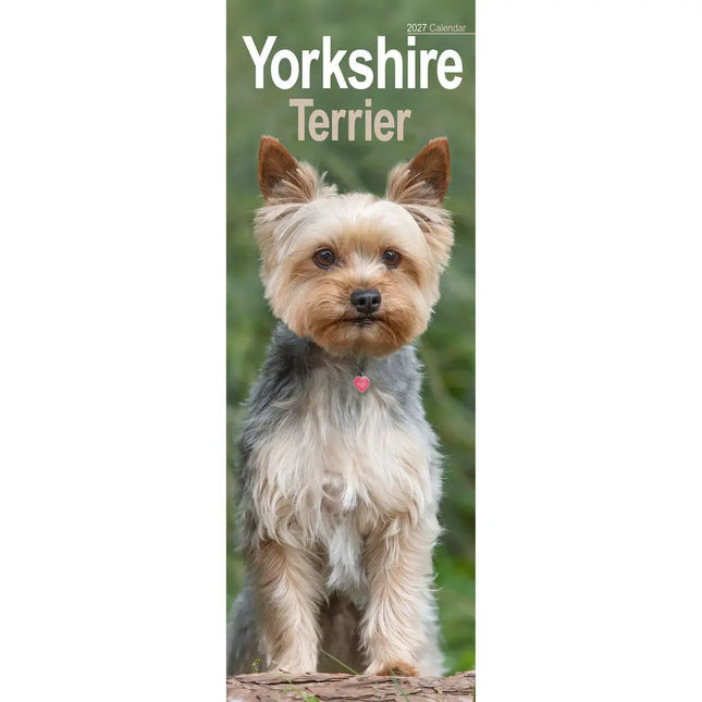 Avonside Yorkshire Terrier Kalender 2027 Slimline