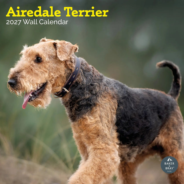 Baker & Bray Airedale Terrier Kalender 2027