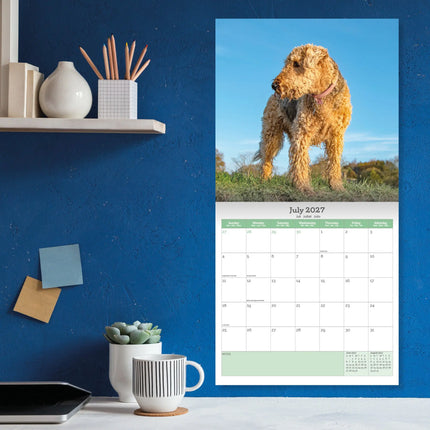 Baker & Bray Airedale Terrier Kalender 2027