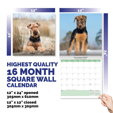 Baker & Bray Airedale Terrier Kalender 2027
