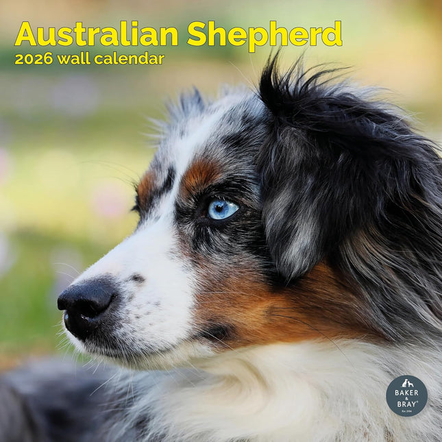 Baker & Bray Australian Shepherd Kalender 2026