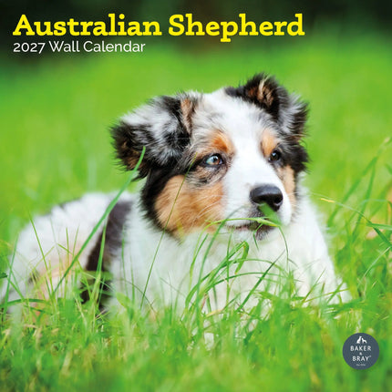 Baker & Bray Australian Shepherd Kalender 2027
