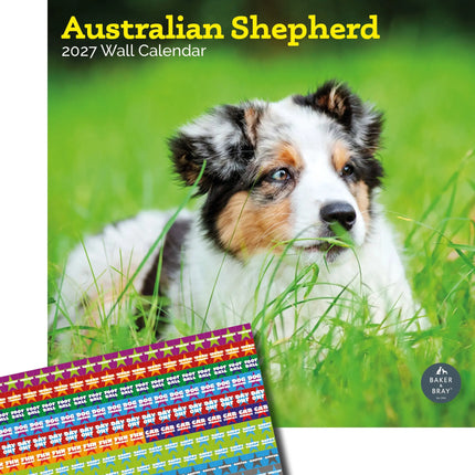 Baker & Bray Australian Shepherd Kalender 2027