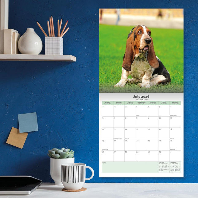 Baker & Bray Basset Hound Kalender 2026