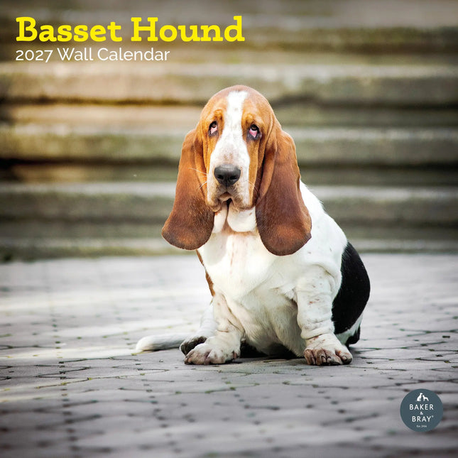 Baker & Bray Basset Hound Kalender 2027
